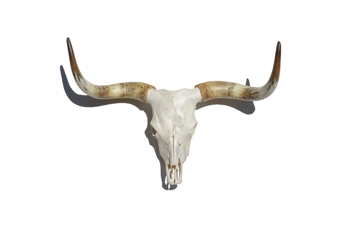 American Highland Euro Mount
